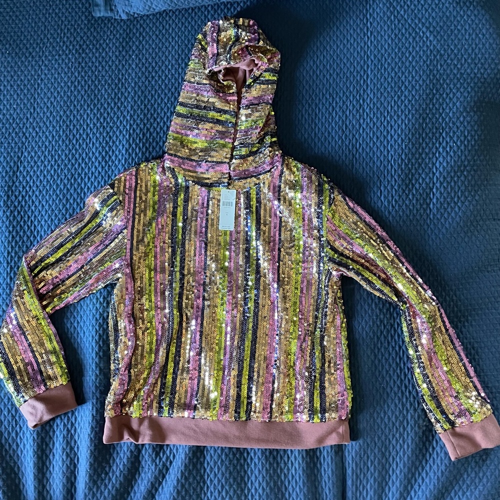 Anthropologie Multicolor Sequin Stripe Hoodie